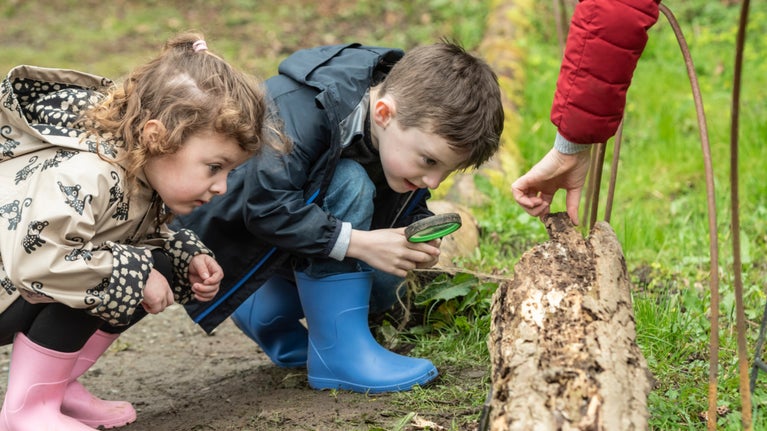 Children hunt for bugs in a tree trunk at Penrhyn Castle and Garden, Gwynedd